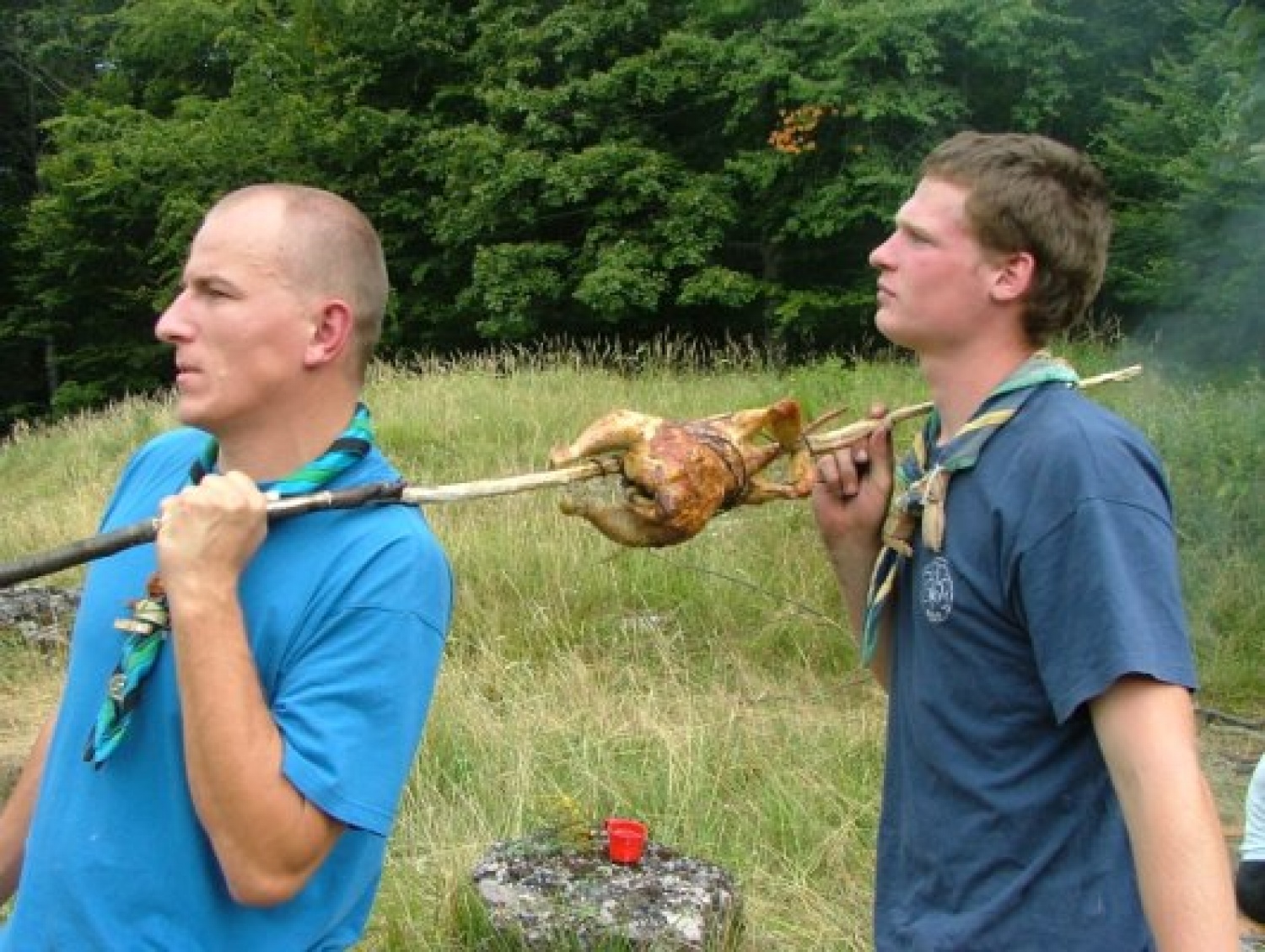 Taborna šola življenja v naravi