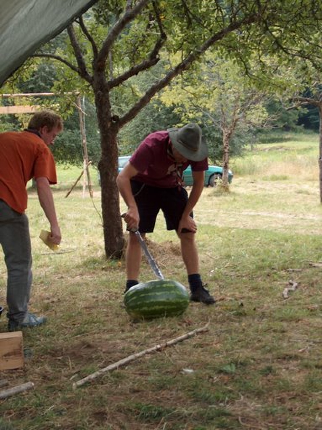 Taborna šola življenja v naravi