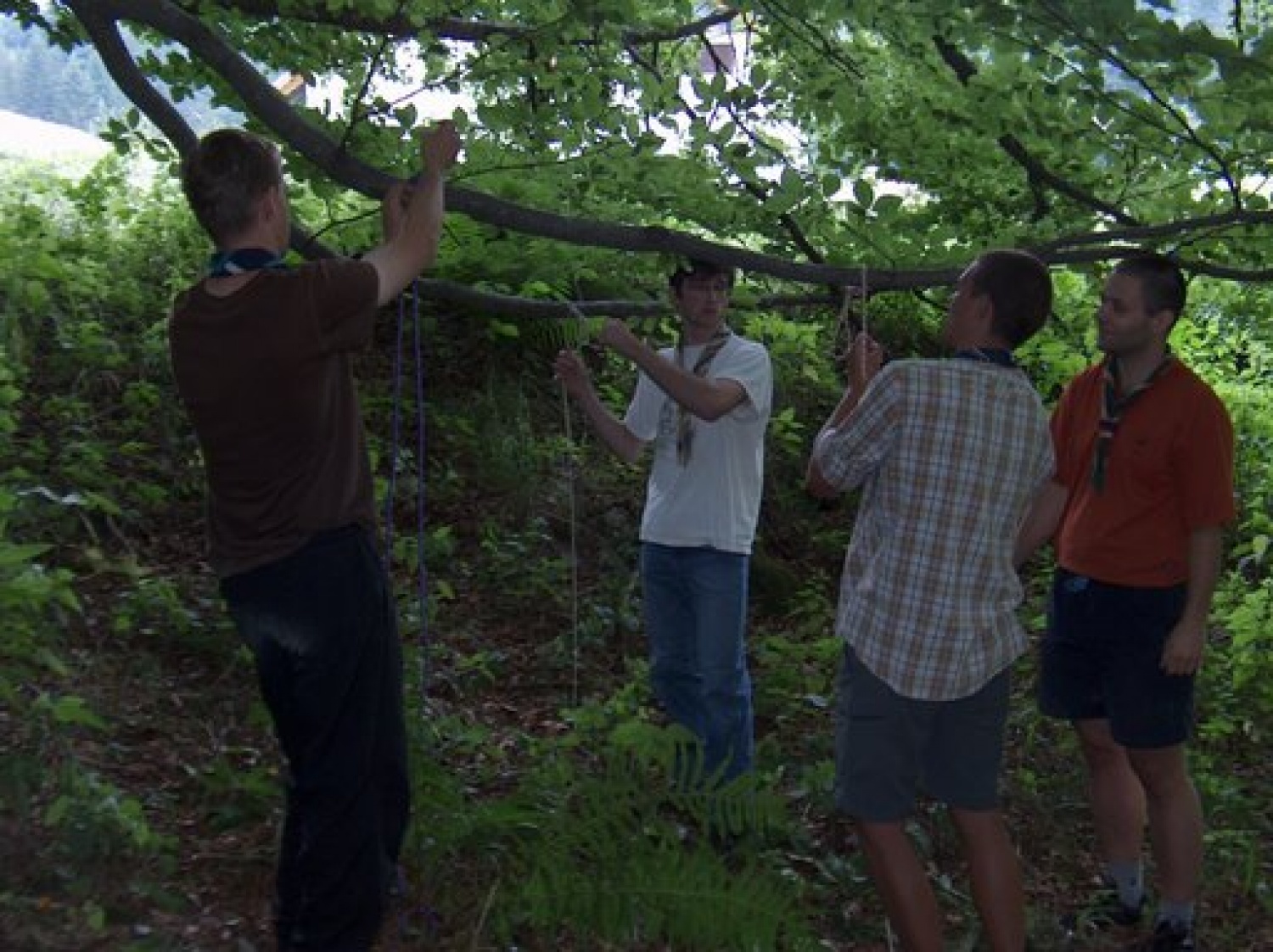 Taborna šola življenja v naravi