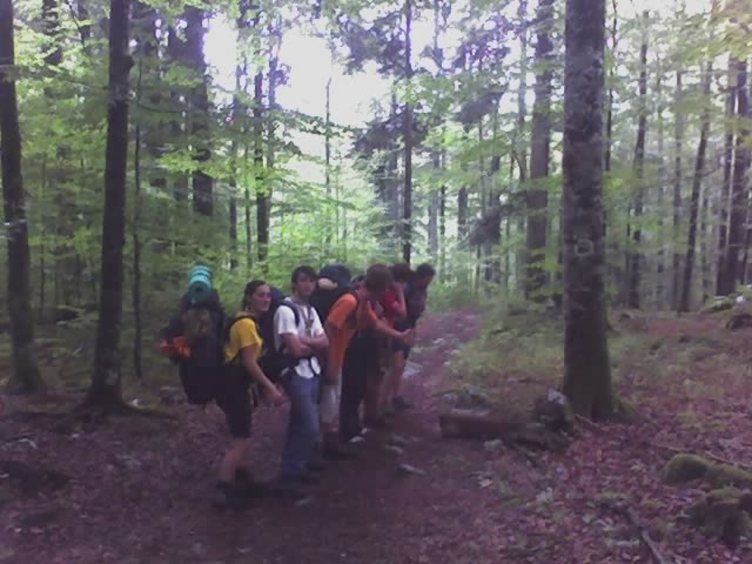 Popotovanje po medvedovih stopinjah, Roški poti