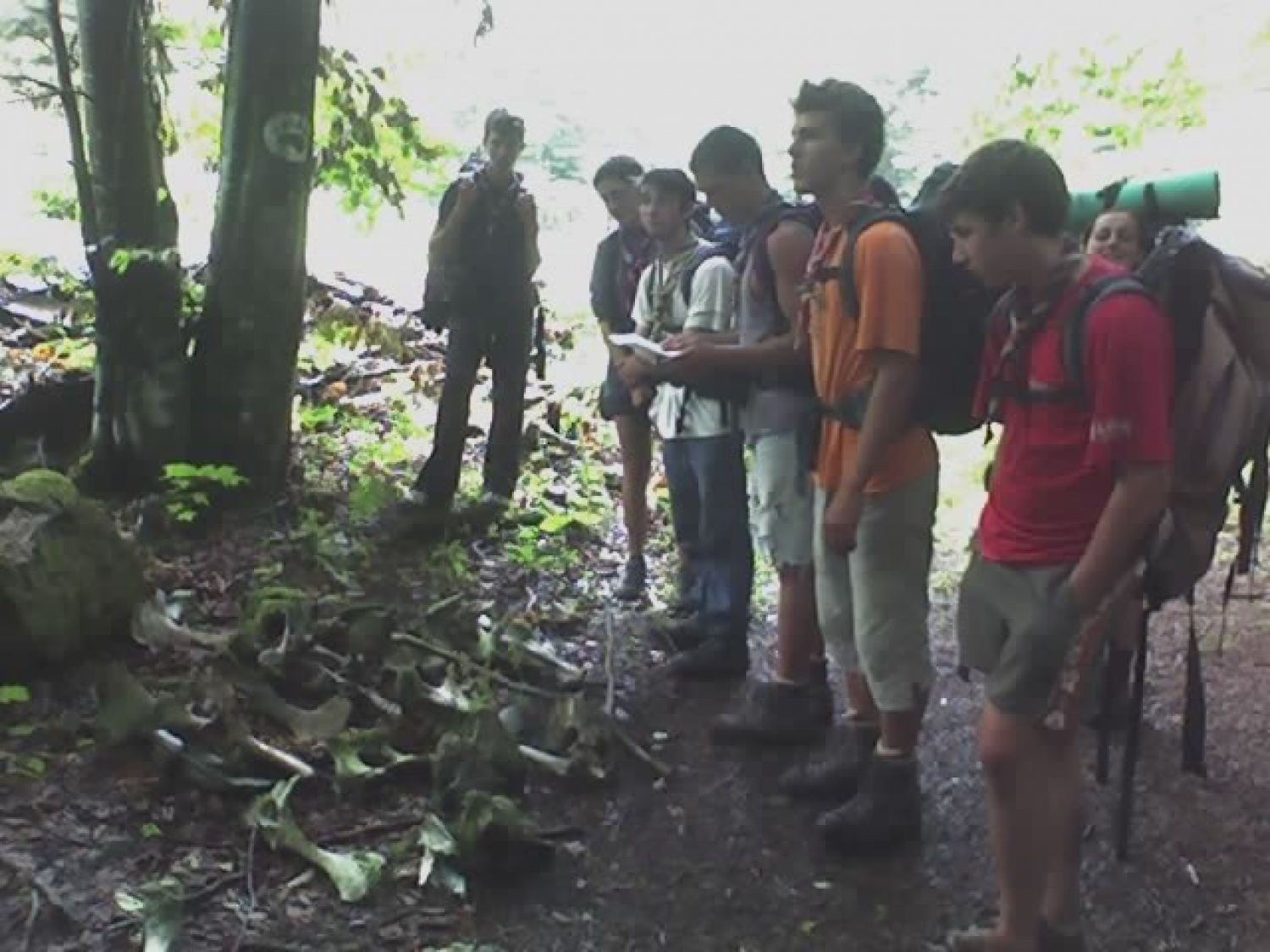 Kup kosti - boj za preživetje obstaja tudi v 21 stoletju.