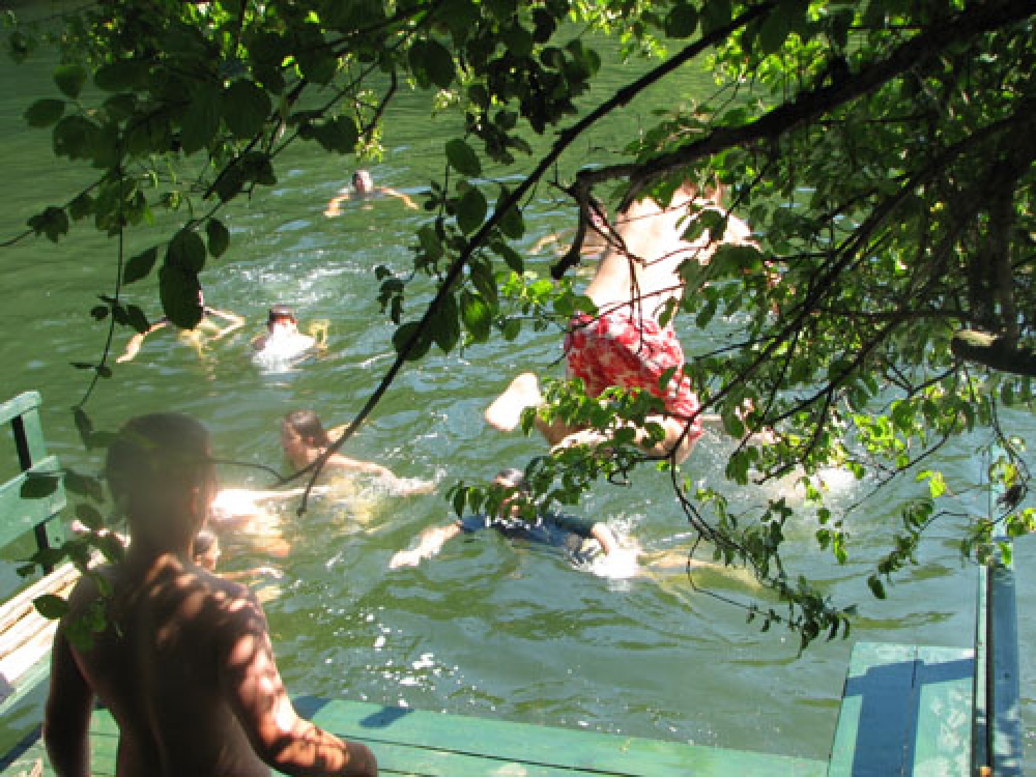 slikice s prvega tzv-ja