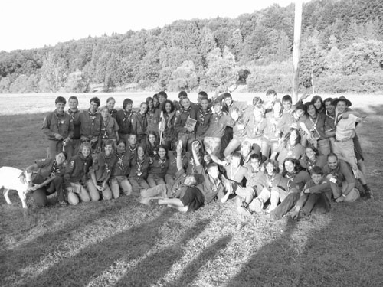 slikice s prvega tzv-ja