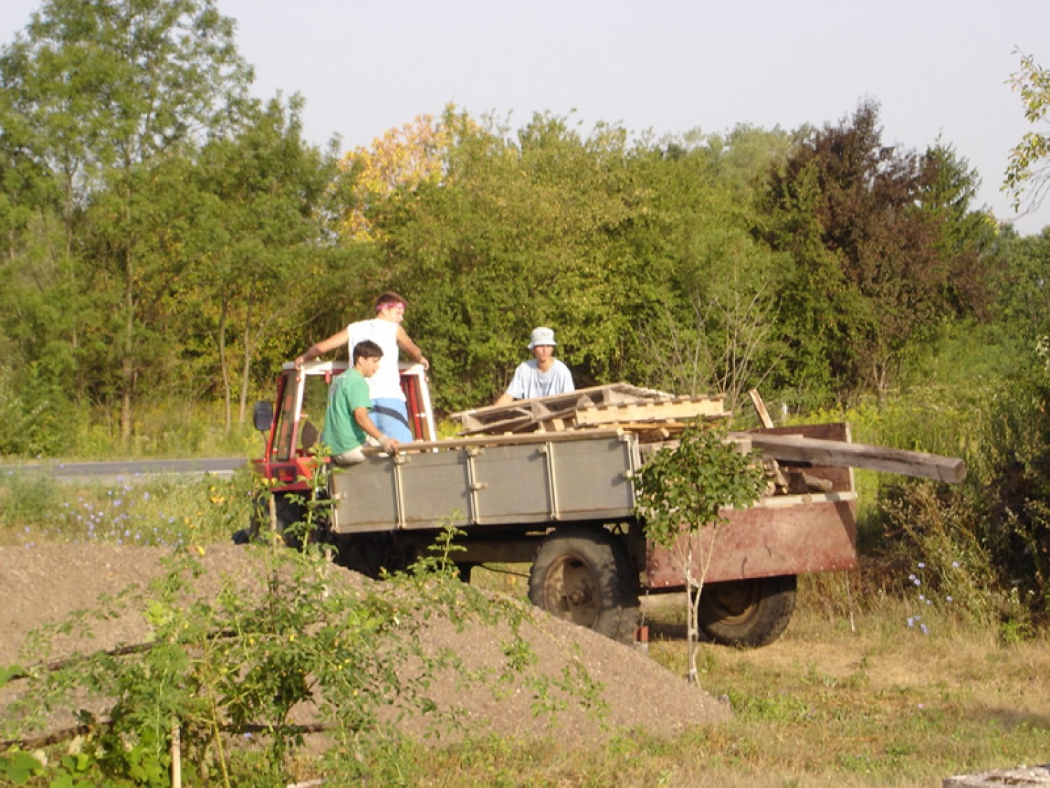 Na prikolici je vse leseno, vključno z deskami.
