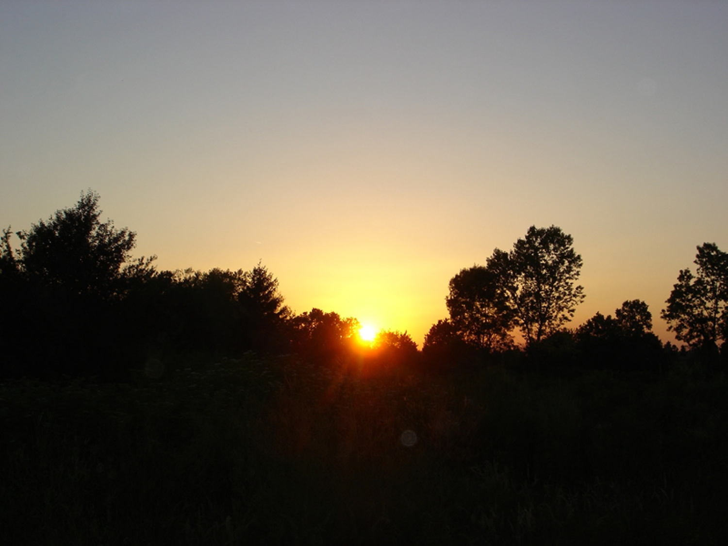 Zjutraj se dan lovi!