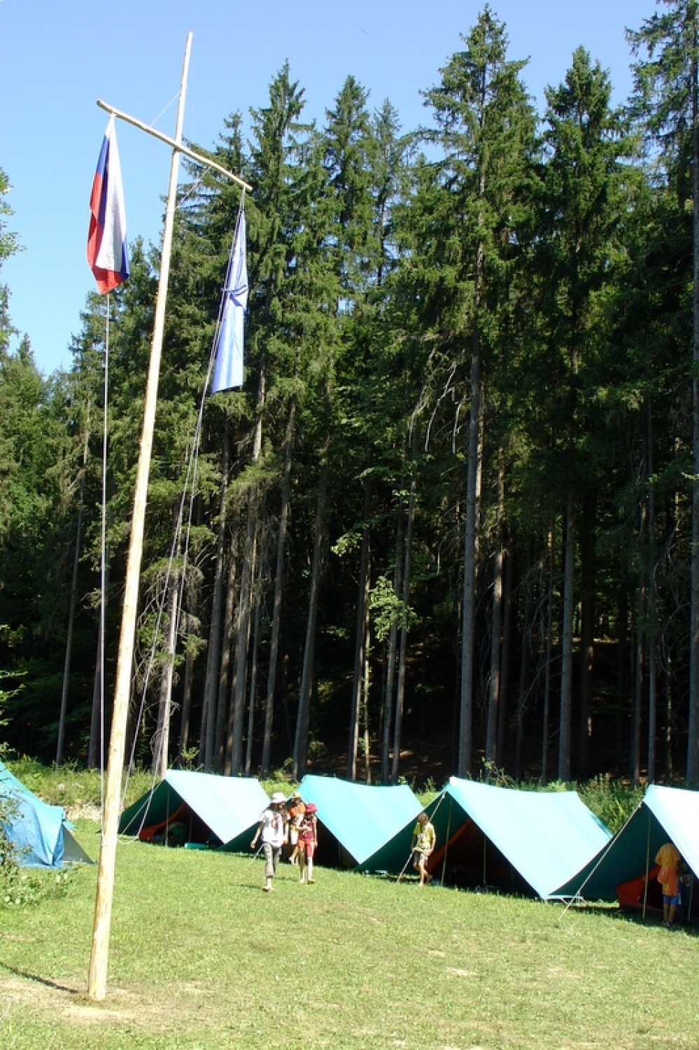 Več kot 60 članov Triglavskega stega se nas je prejšnjo nedeljo, po koncu Kvajdeja zbralo na Suhi pri Predosljah, kjer smo na skupnem taboru štiri dni praznovali 15 let delovanja našega stega.