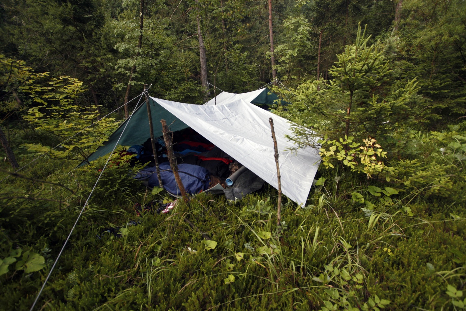 Jamboree 2008 - potovalna skupnost andreja 1