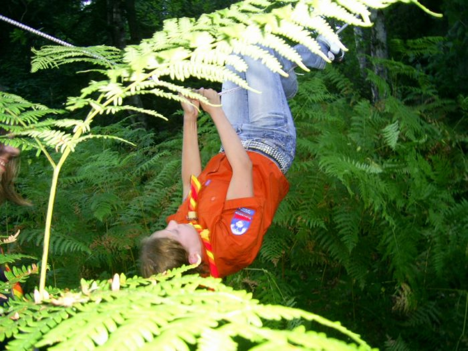 ... še vedno akcija