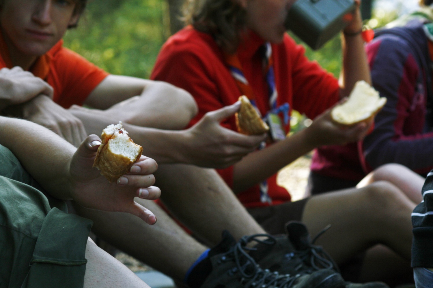 Jamboree 2008 - potovalna skupnost andreja 1