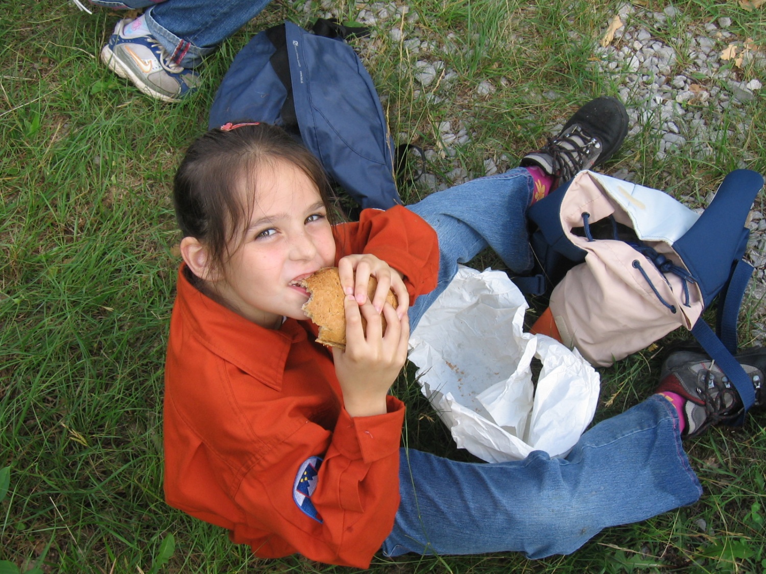 Sestradana volkuljica