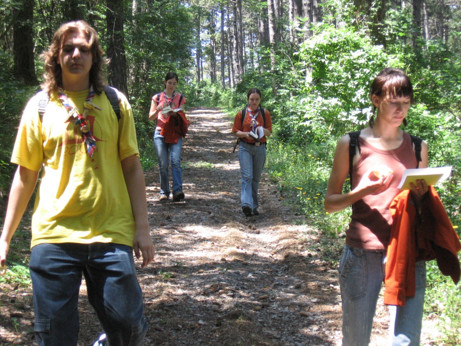 V rahlem drncu po cesti navzdol