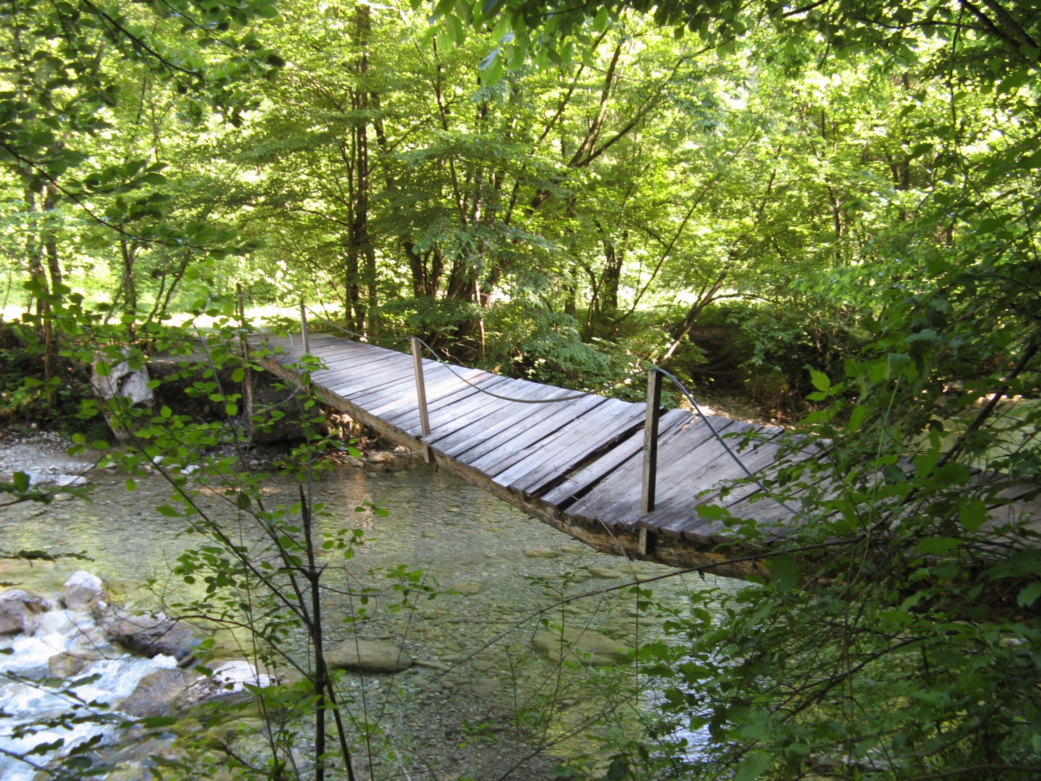 Izziv Bi-Pi (po)živi v Iškem Vintgarju