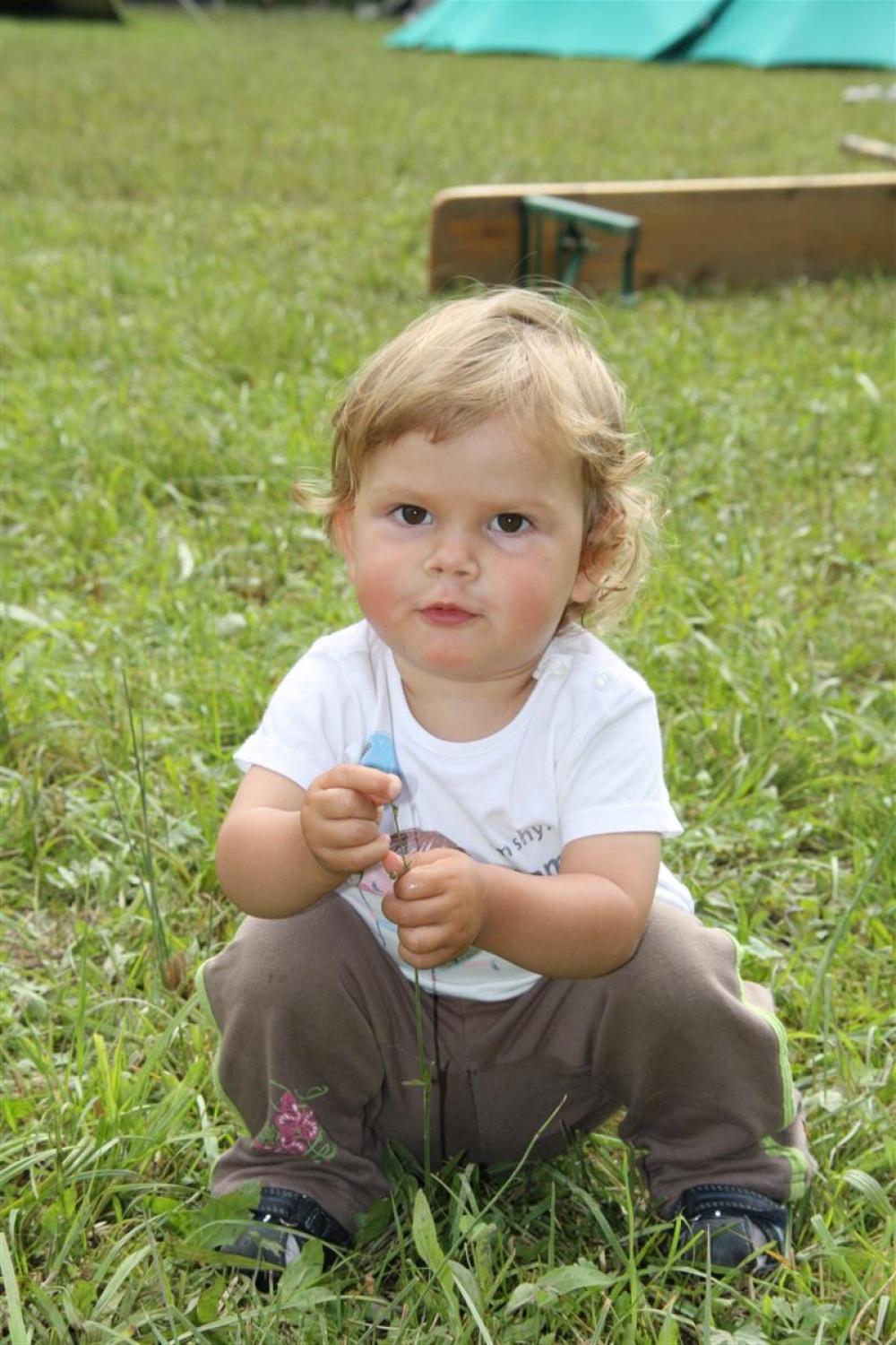 članica poročevalske ekipe
