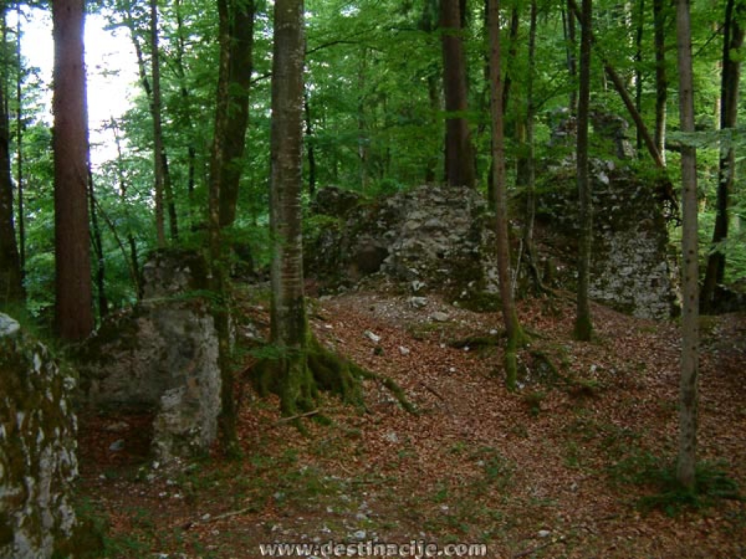Razvaline gradu Rožeka