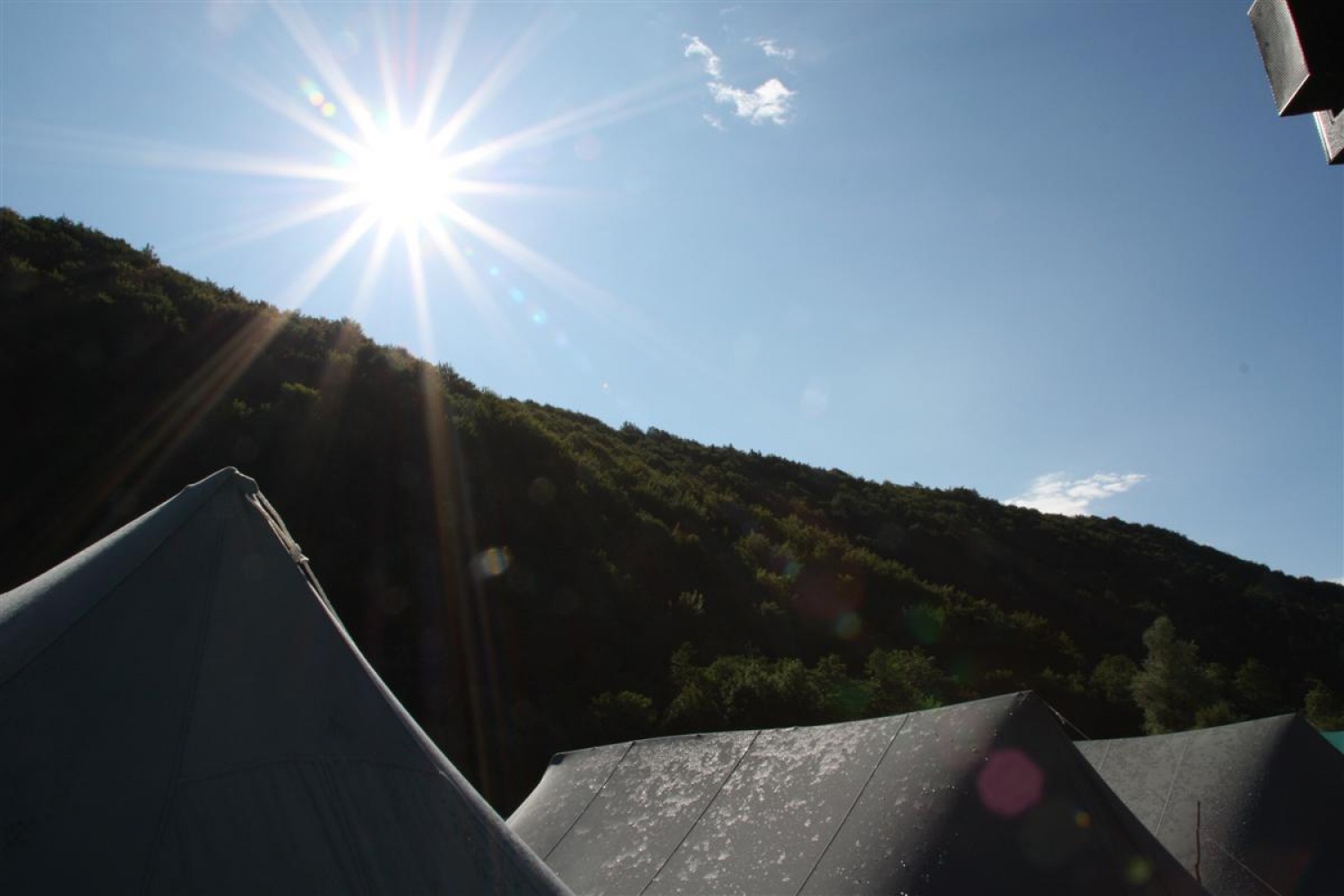 Še zadnji dan sami...