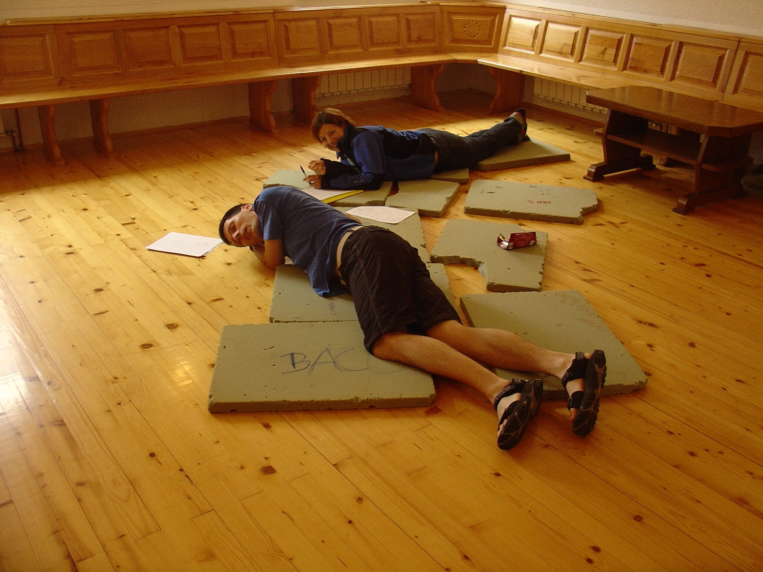 SVOD TZV 3 (2008) ob garanju za pripravo programa