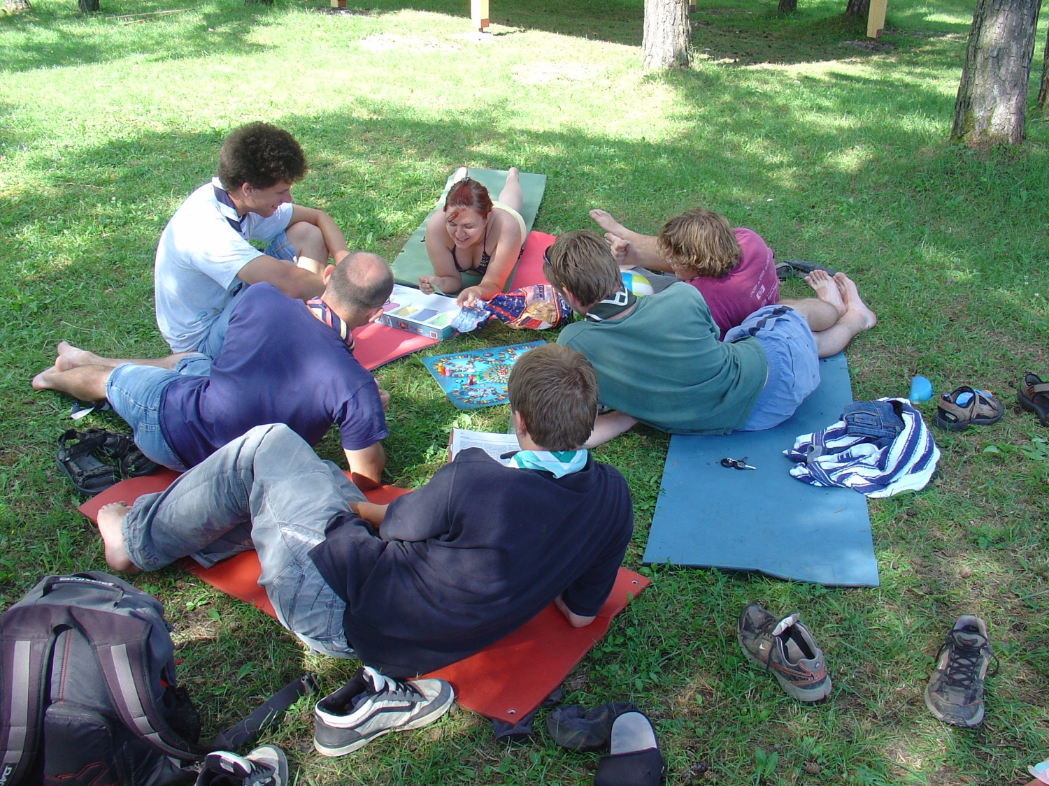 SVOD TZV 3 (2008) ob garanju za pripravo programa