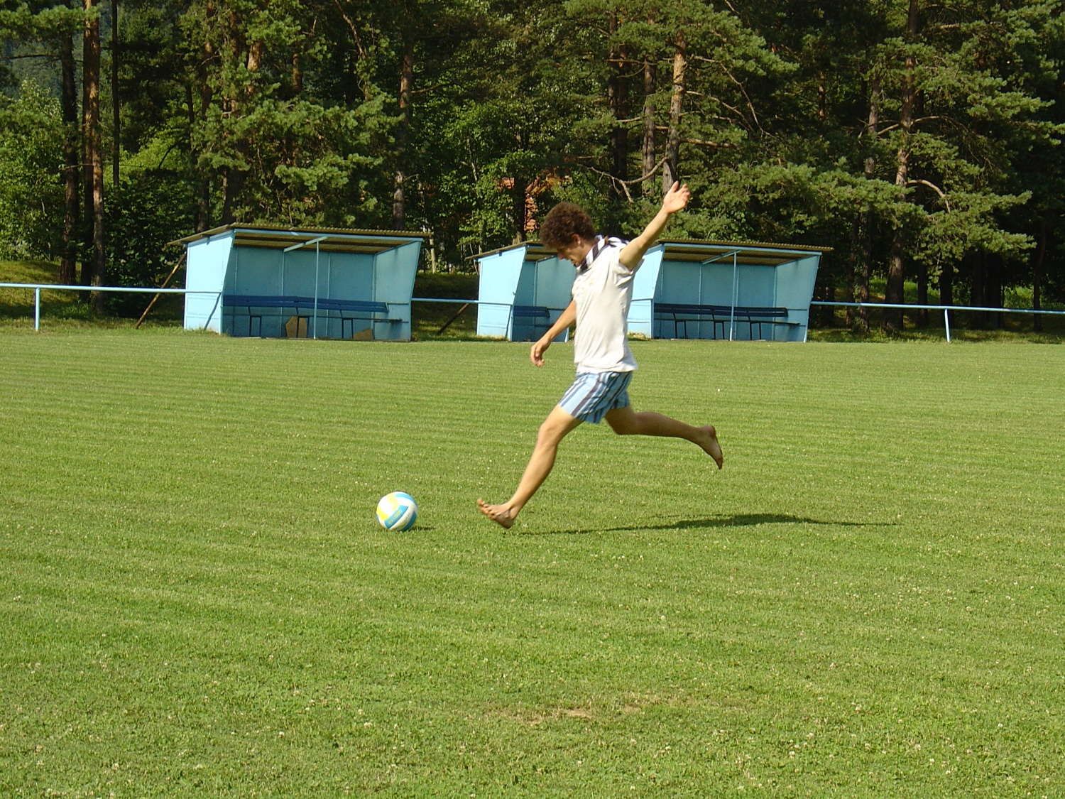 SVOD TZV 3 (2008) ob garanju za pripravo programa