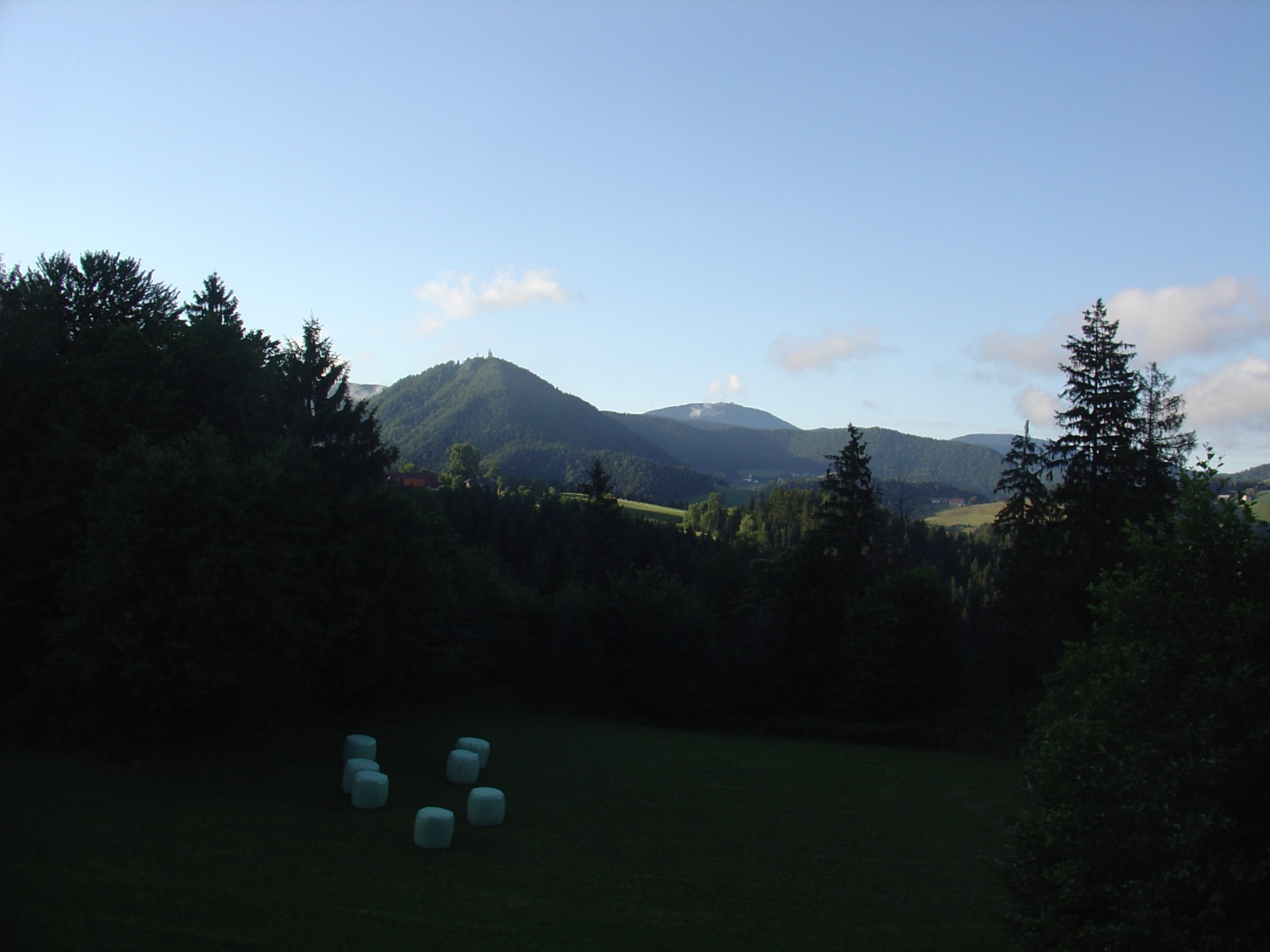 SVOD TZV 3 (2008) ob garanju za pripravo programa