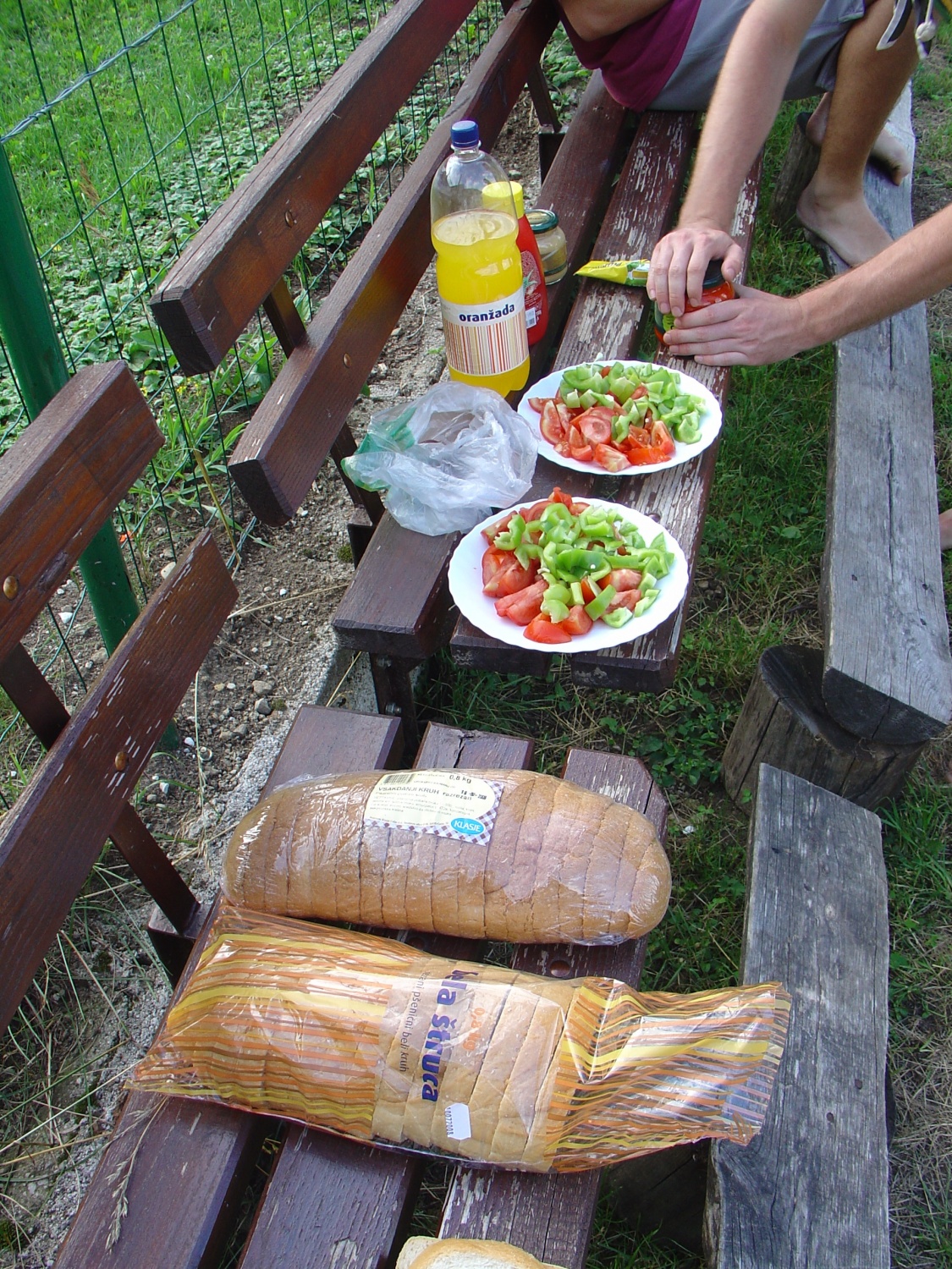 SVOD TZV 3 (2008) ob garanju za pripravo programa