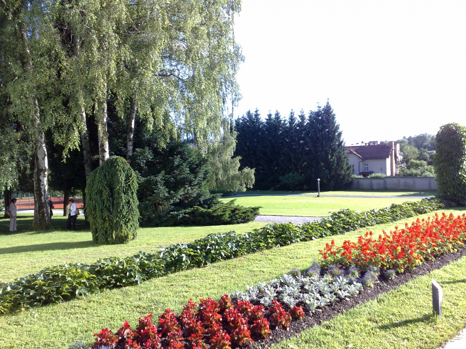 Sprejem prostovoljcev pri predsedniku države