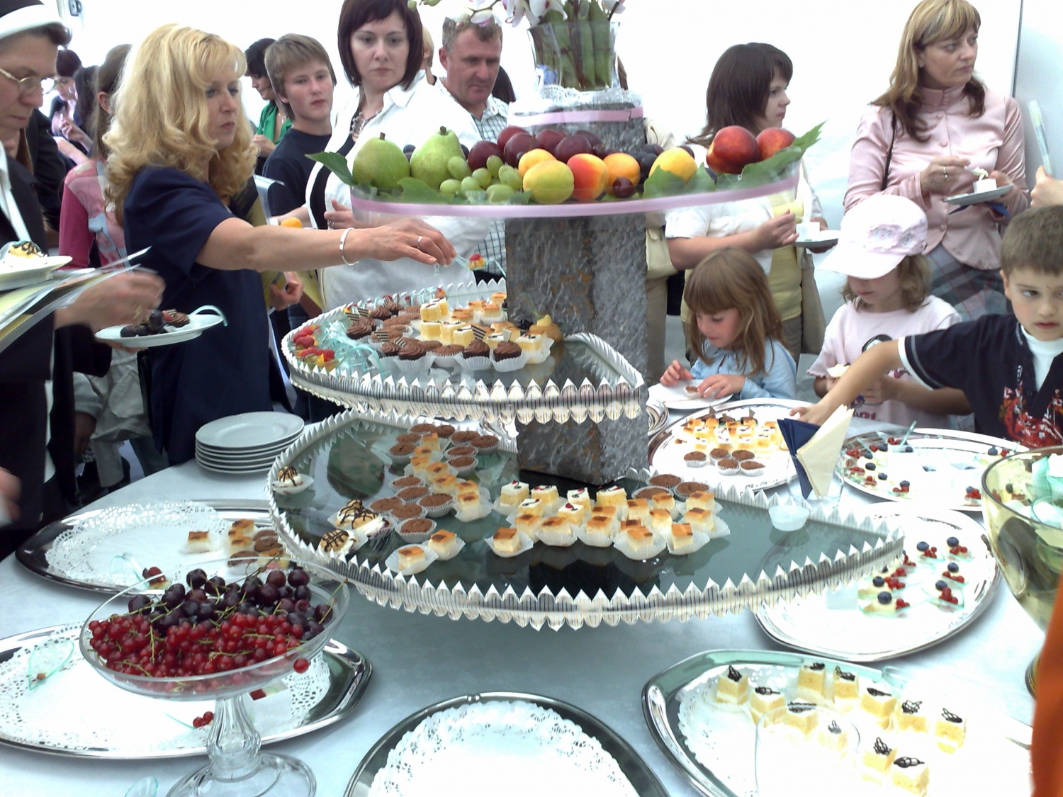 Sprejem prostovoljcev pri predsedniku države