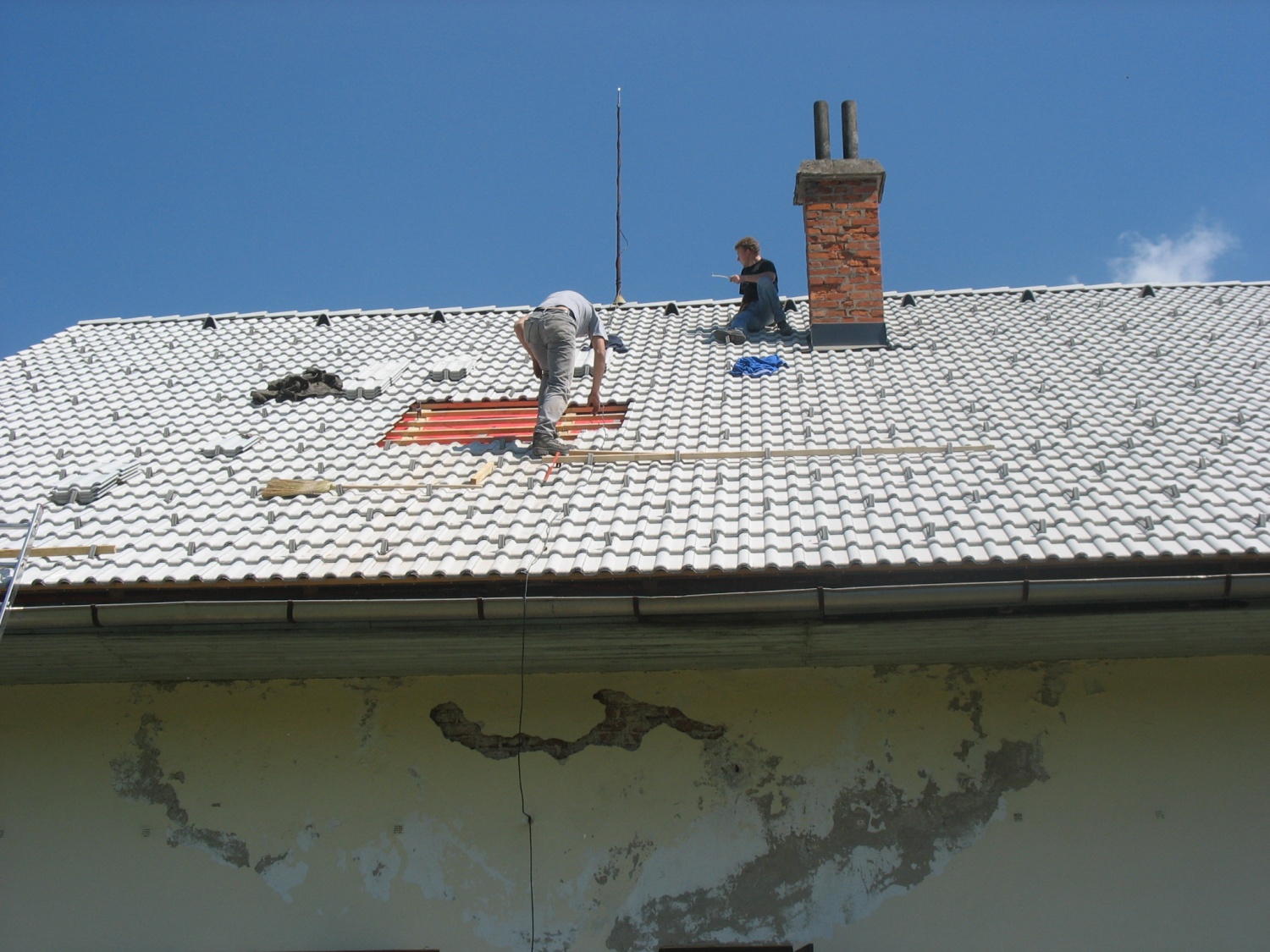 Delovna akcija v Kočevskem Rogu