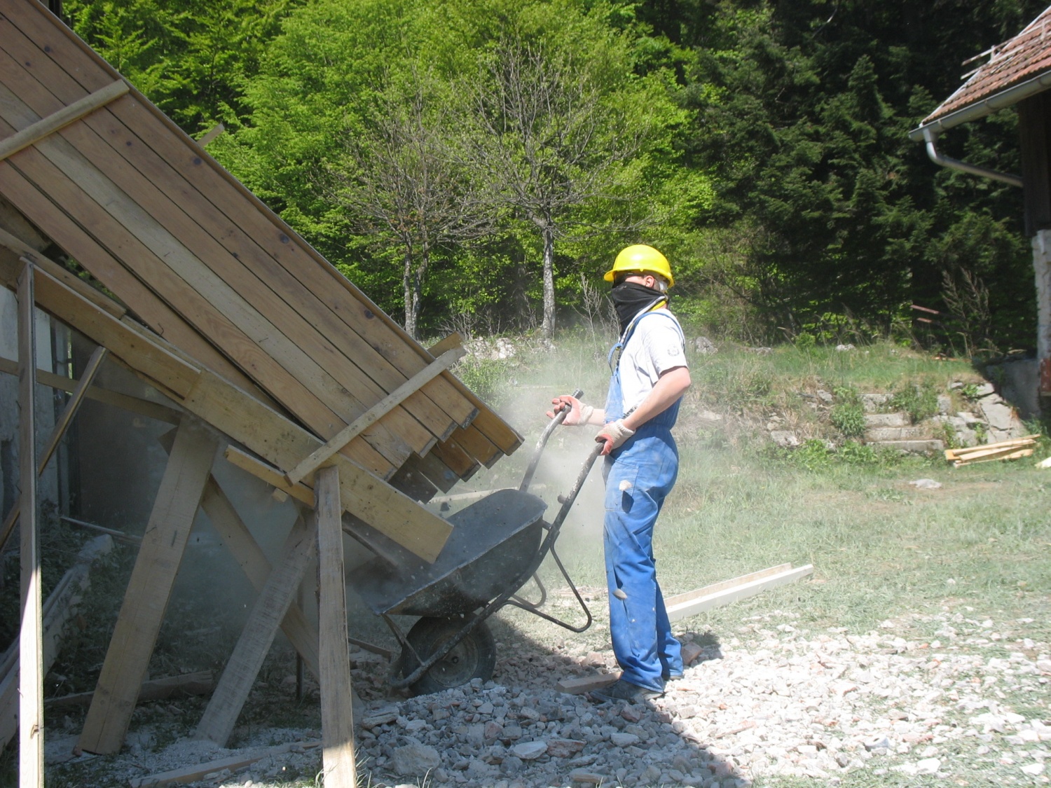 Delovna akcija v Kočevskem Rogu