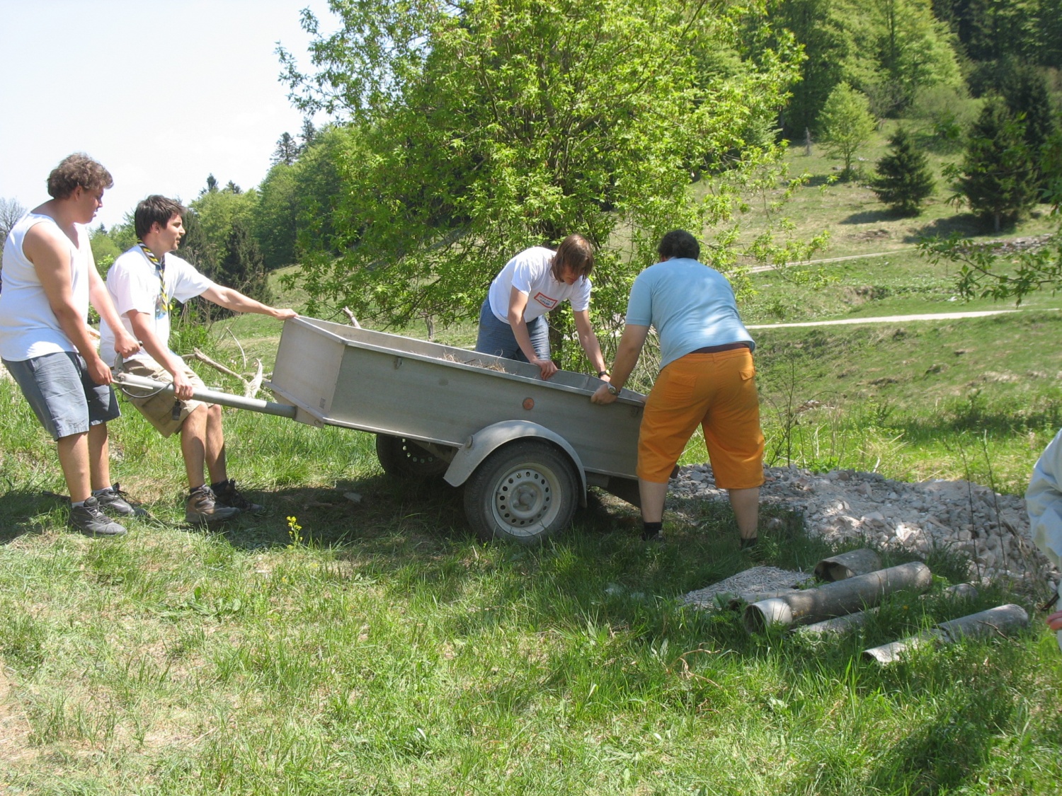 Delovna akcija v Kočevskem Rogu