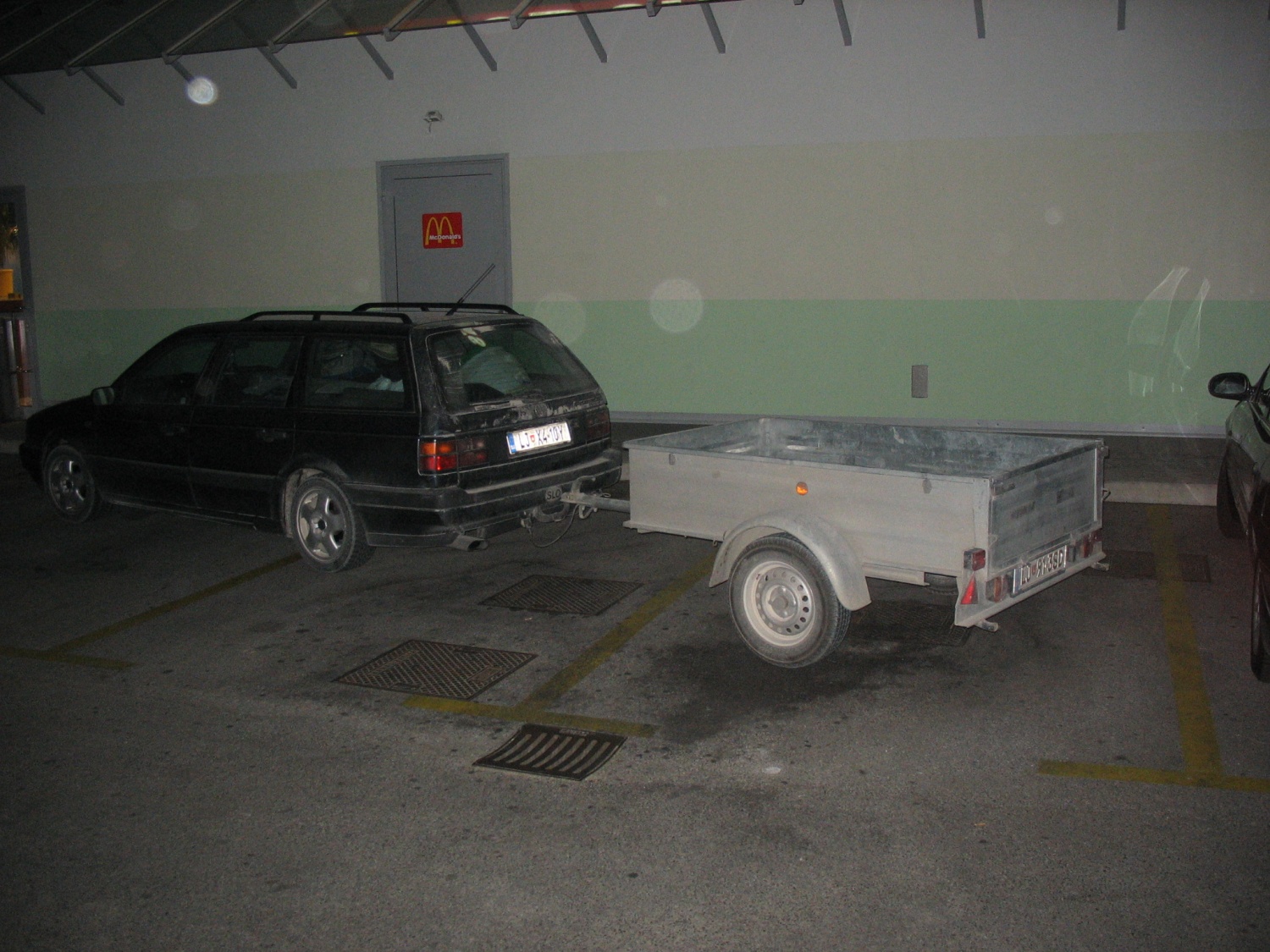 Delovna akcija v Kočevskem Rogu