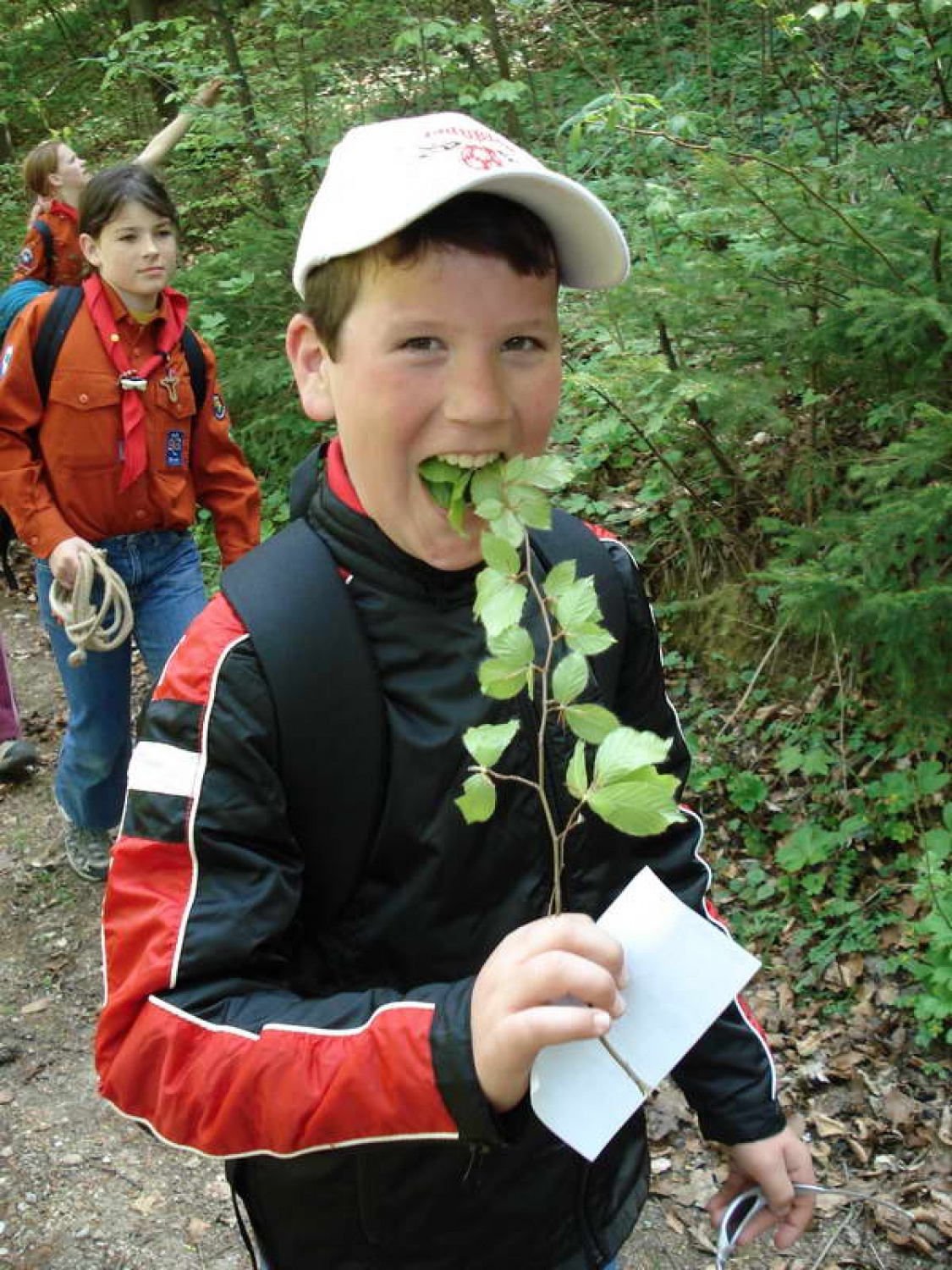 volčič se hrani z listi (mmm je dobro)