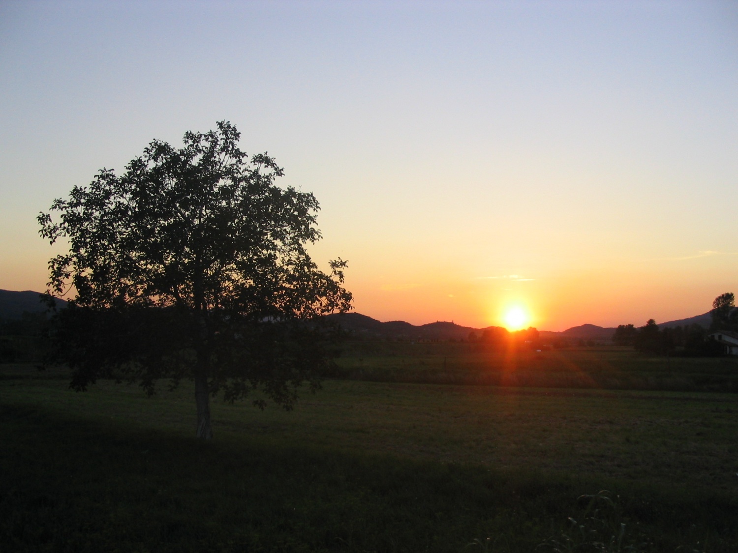 različni prizori iz narave