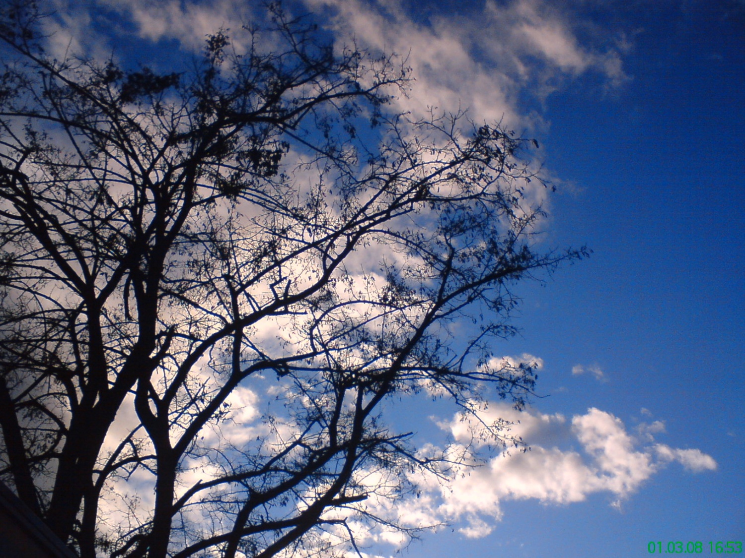 različni prizori iz narave