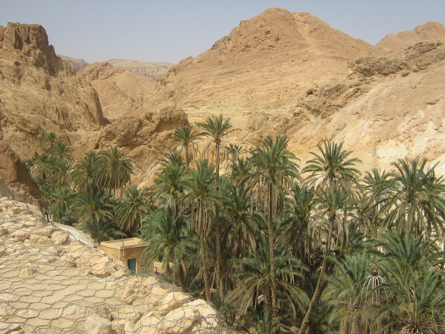 različni prizori iz narave