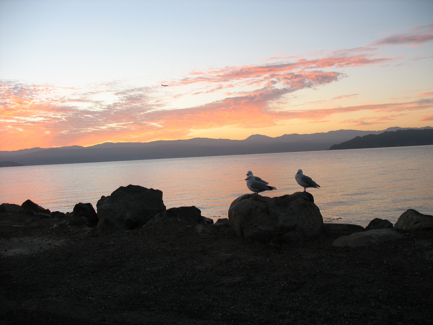 različni prizori iz narave