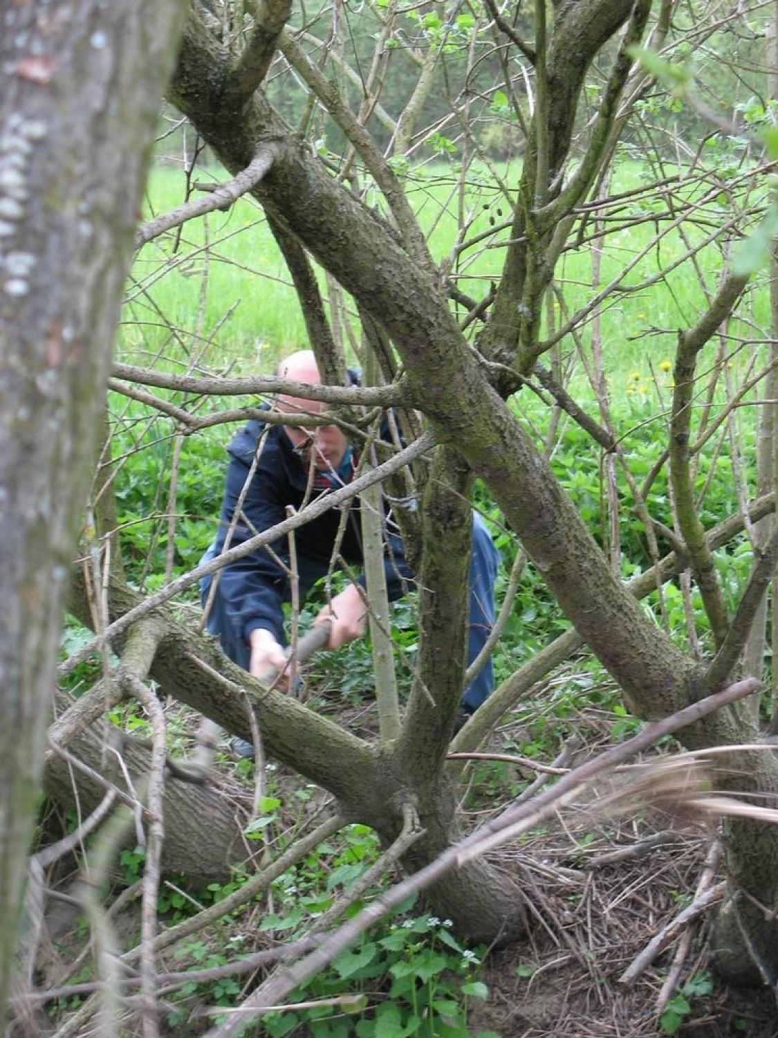 Fajn se stegen, da pobereš