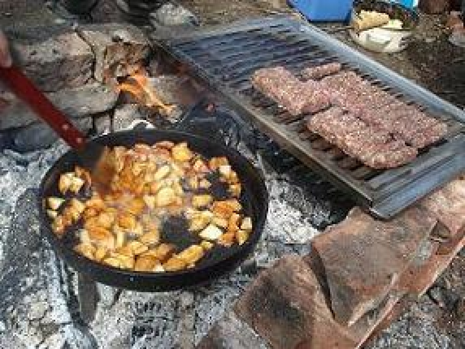 Kočevski Rog, 5.4.2008