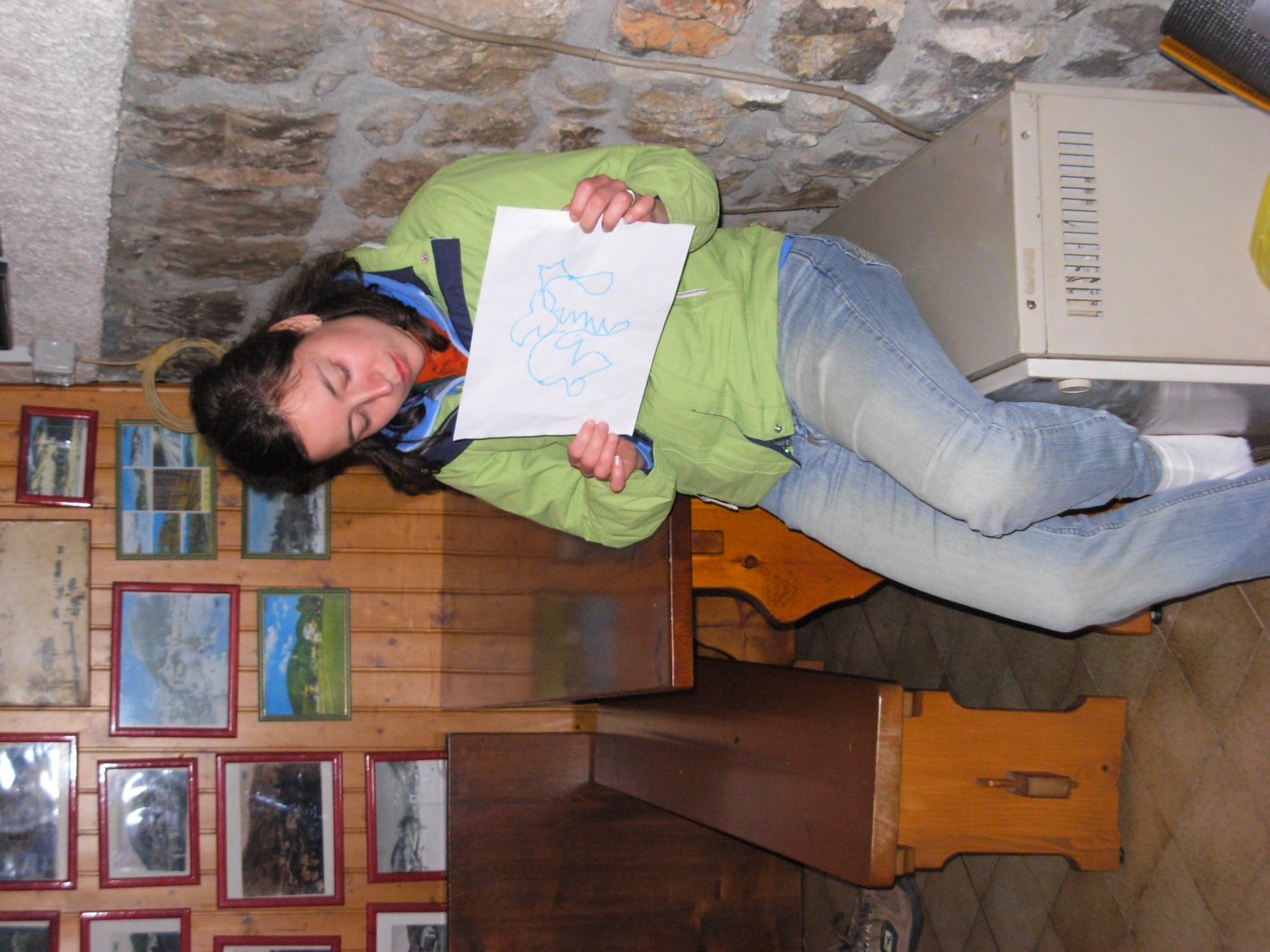 državna voditeljica pp