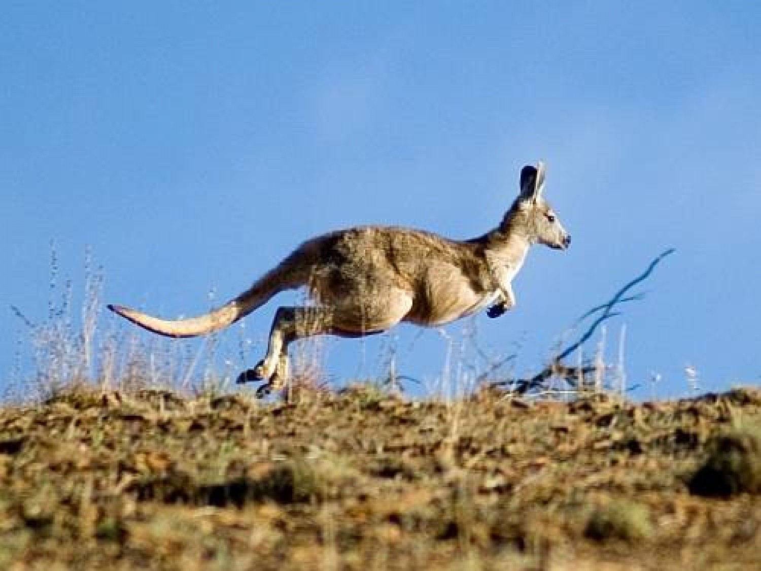 V Babilonu je ženski glas enakopraven moškemu