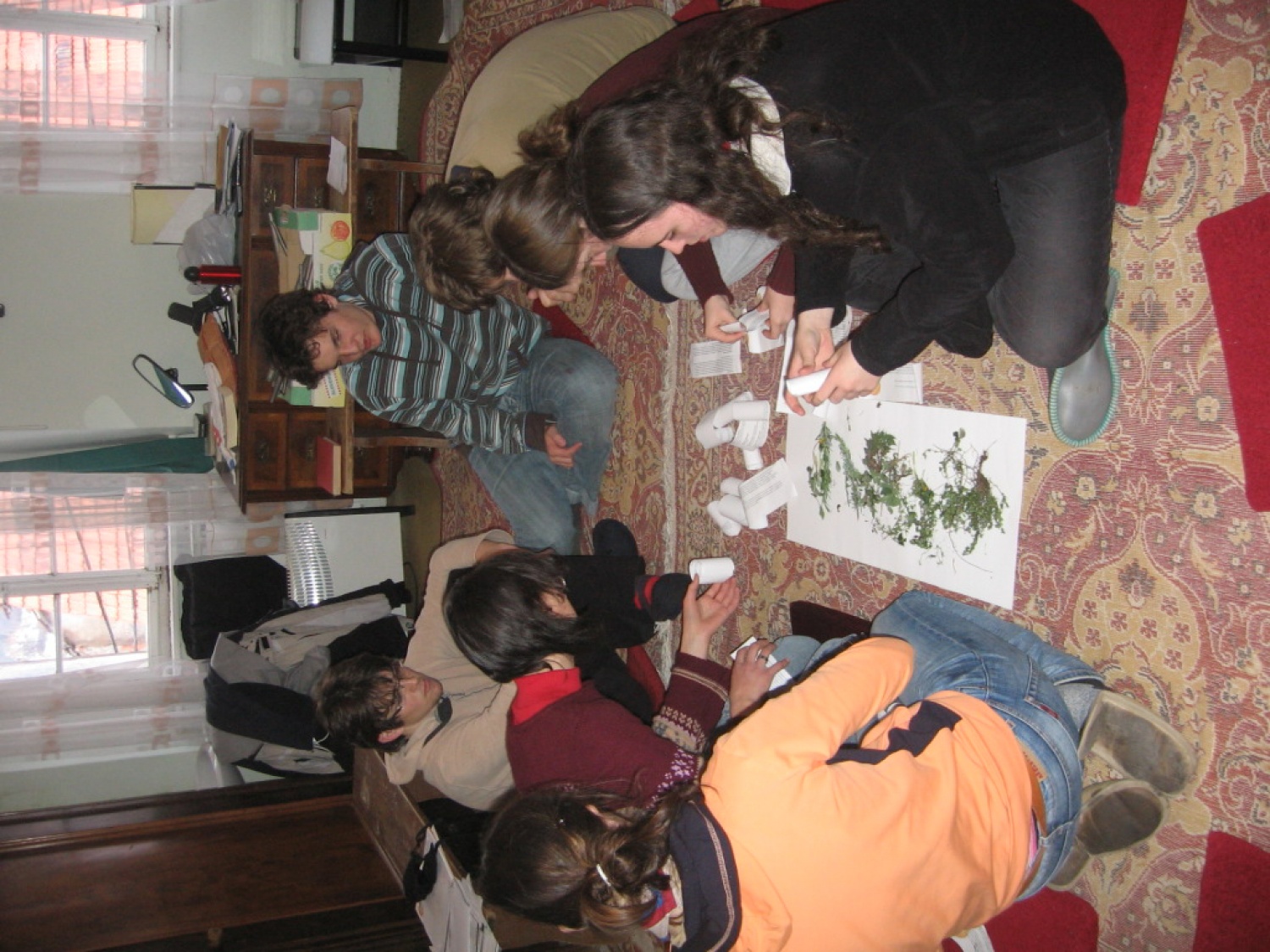 Spoznavanje zdravilnih rastlin