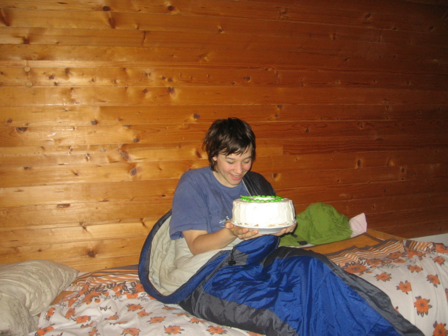 Ljubljana 2 - zimovanje