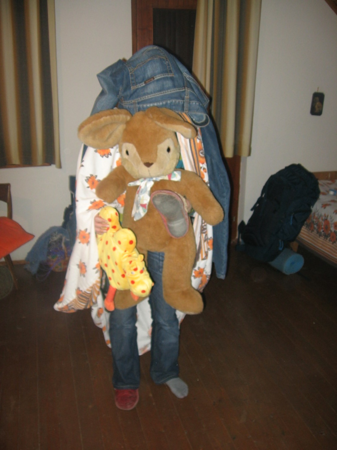 Ljubljana 2 - zimovanje