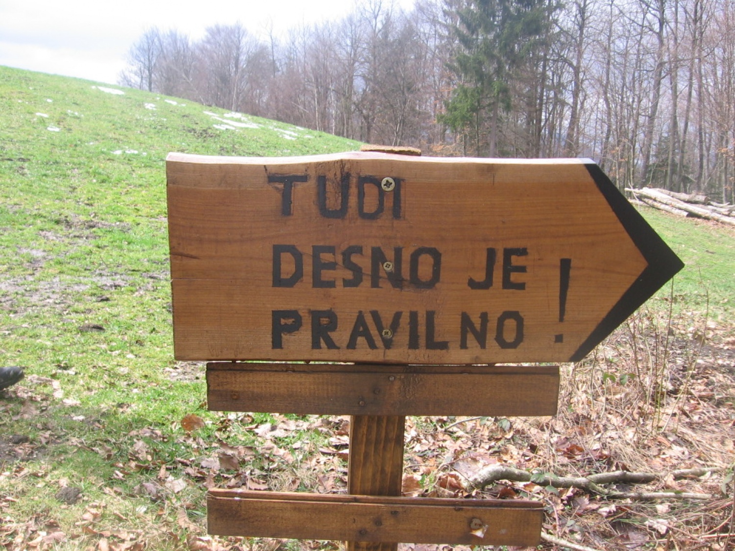 Ljubljana 2 - zimovanje