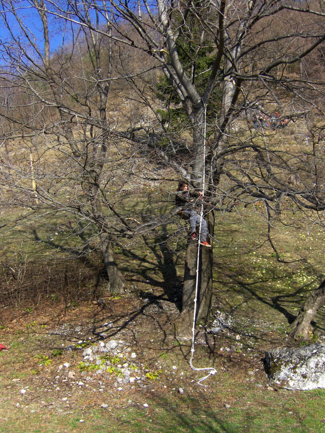 nekaj malih utrinkov iz srečanja:)