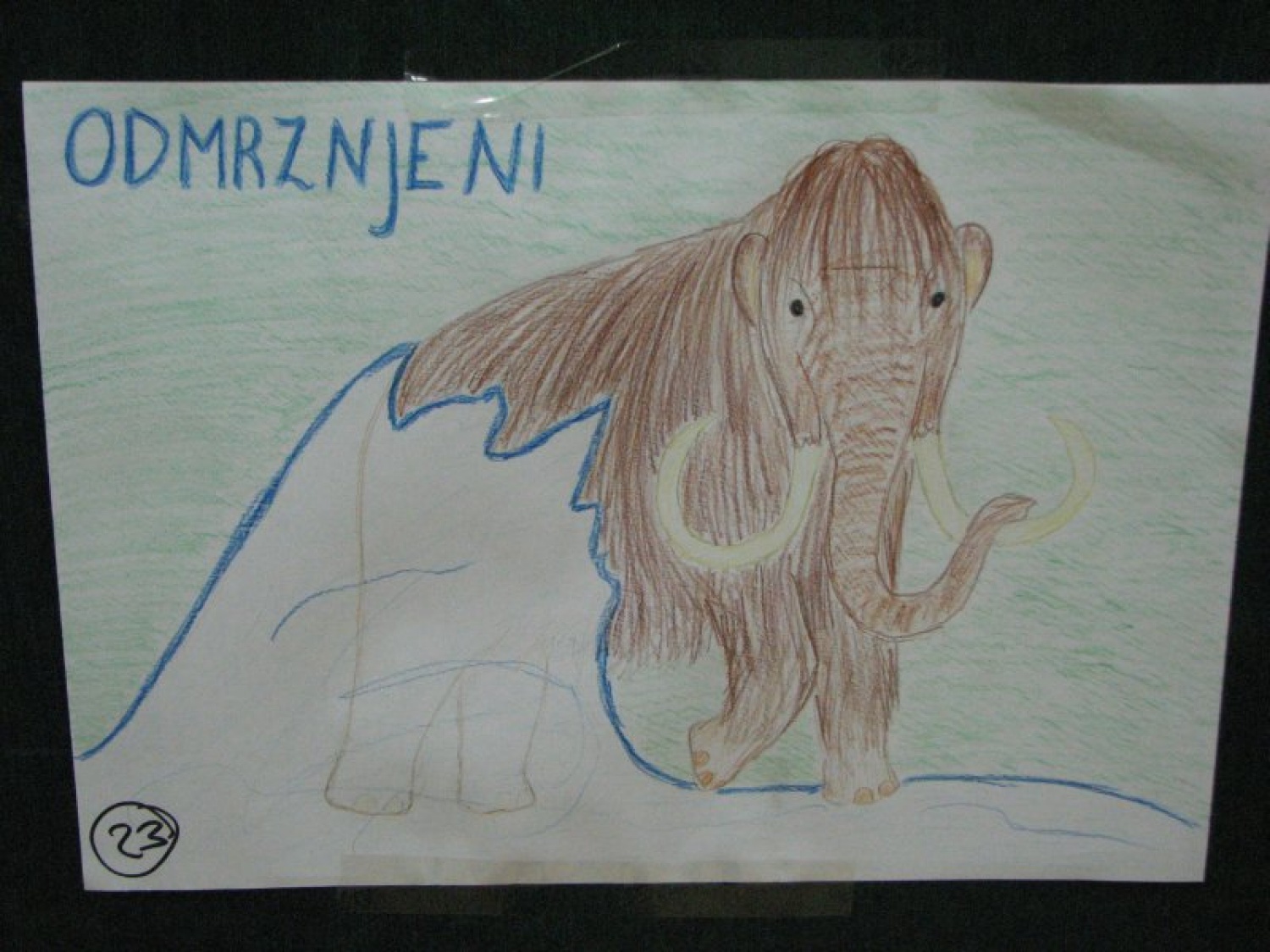 Slike iz dogodka, ko je Kamnik 1 izbiral svoje ime na finalnem glasovanju