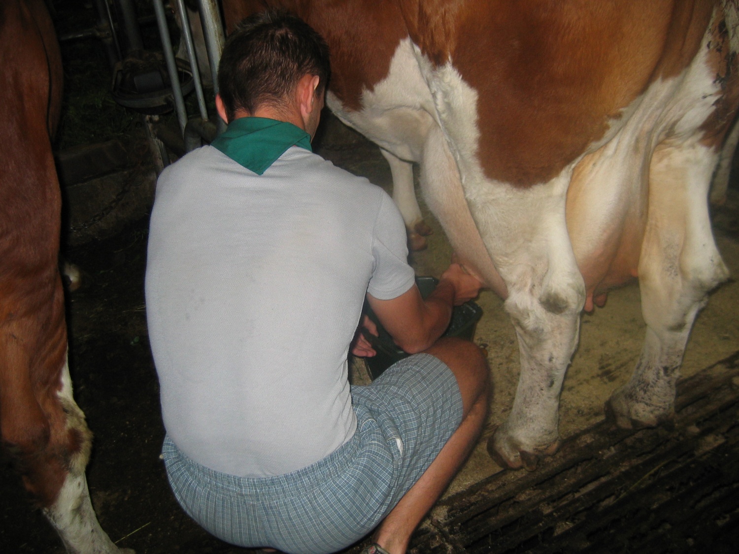 ˝Poletel bom!˝  je odmevalo iz 19 + 8 skavtskih src na poti od Kamnika čez Menino planino in nazaj v Kamnik.