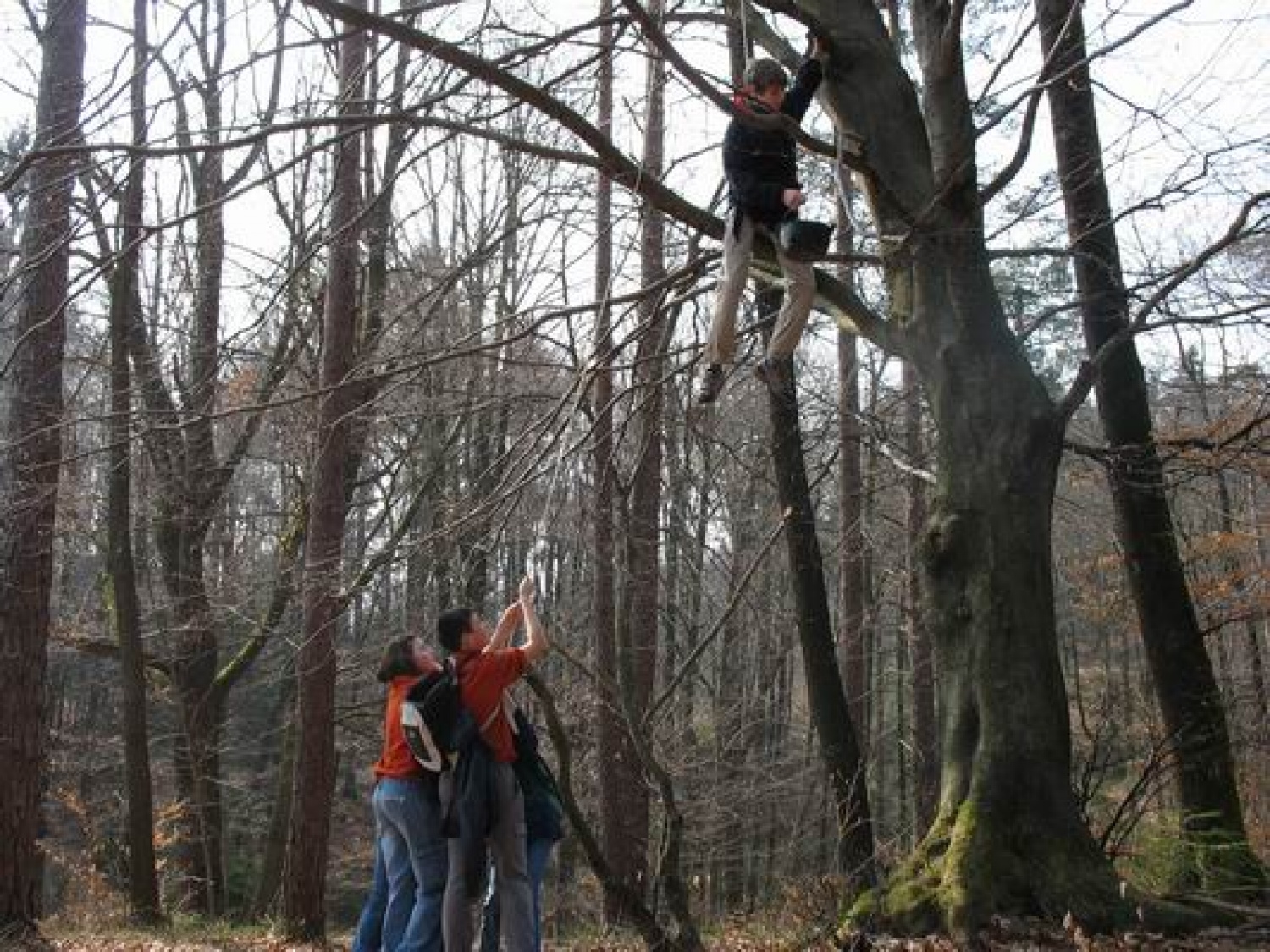 še vedno mleko gor in dol