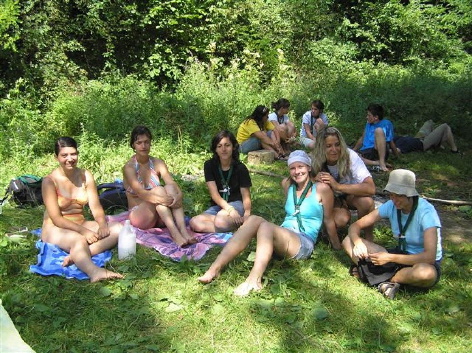 Sončejne v senci - to bo lepa barva