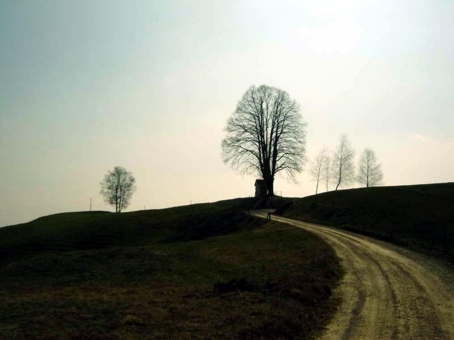 Utrinki državnega srečanja voditeljev PP