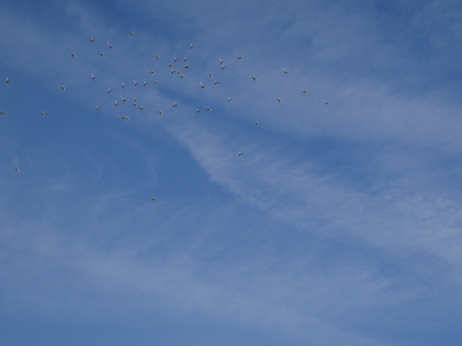 fotografije s praznovanja 100-letnice